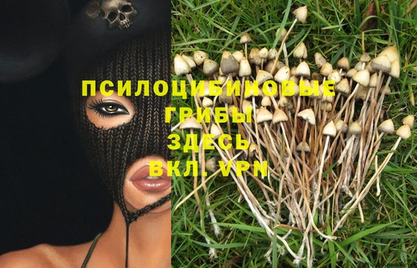кокс Каменка