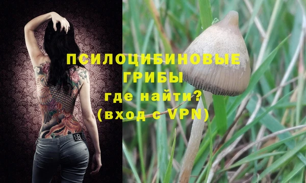 бутират Каменск-Шахтинский