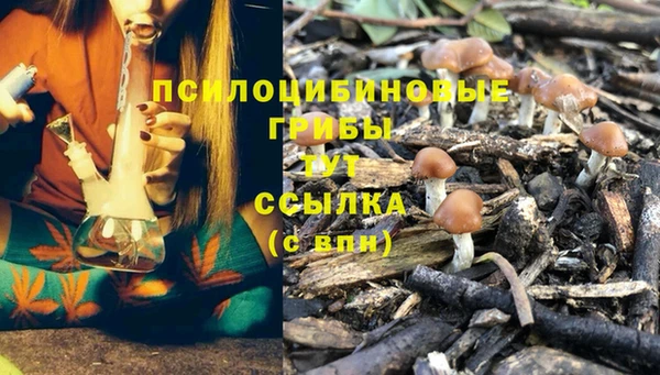 MESCALINE Каменногорск
