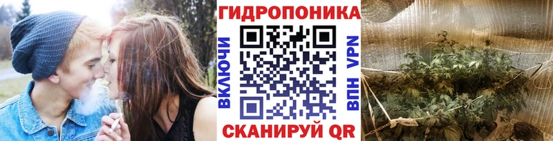 Купить где  Буйнакск  Шишки марихуана VHQ 